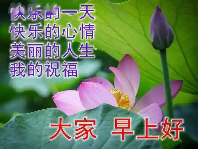 最新好看早上好动态表情图片大全迎接新的一天开始