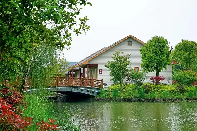 老陆的美篇全家老少四代十九人游常熟蒋巷村