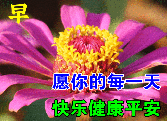 最漂亮早上好动态表情图片大全早晨好动图美图大全