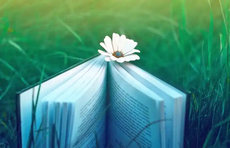 清新淡雅静谧风景壁纸_淡雅的美丽风景