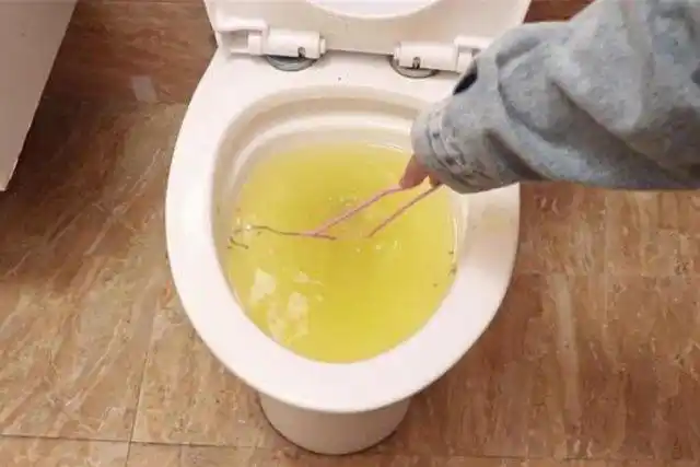 马桶堵了不下水了怎么办