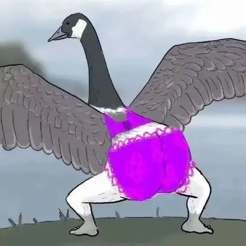 大鹅表情包更新了!你屁股大,先踢你