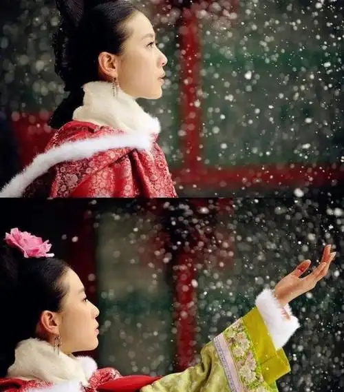 步步惊心陈情令的犬夜叉的雪总有一片飘落在你心头