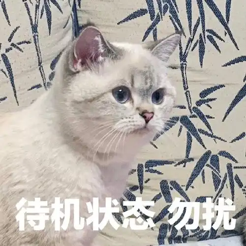 萌宠喵星人待机状态勿扰可爱呆萌gif动图_动态图_表情包下载_soogif