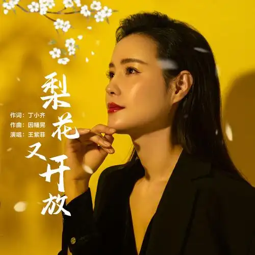 梨花又开放_王紫菲_高音质在线试听_梨花又开放歌词|歌曲下载_酷狗