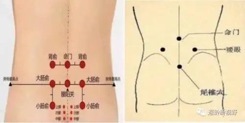 腰眼:腰部第四腰椎棘突左右3-4寸的凹陷处(站立时,可观察到臀部上方有