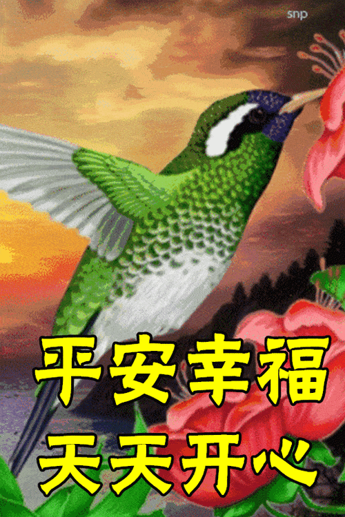 2021新版大家早上好表情图片朋友圈早上好的微信表情图片