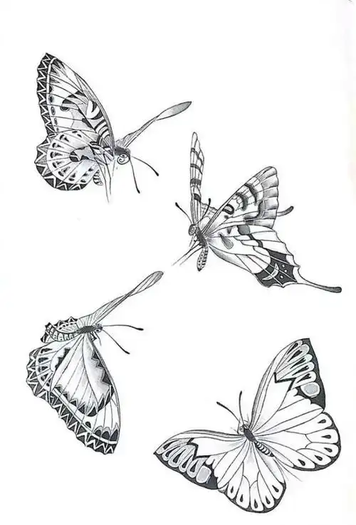 一组蝴蝶工笔画白描素材,太美啦,记得收藏!