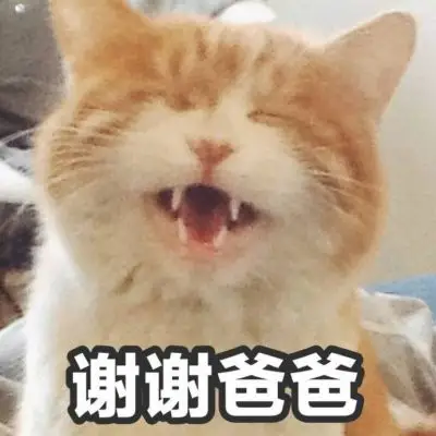 超搞笑全新萌宠带字头像无敌可爱