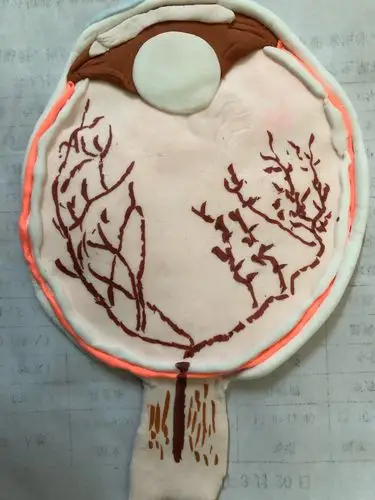 "以模促教,我型我秀"实验初中南炼校区第二届生物模型比赛