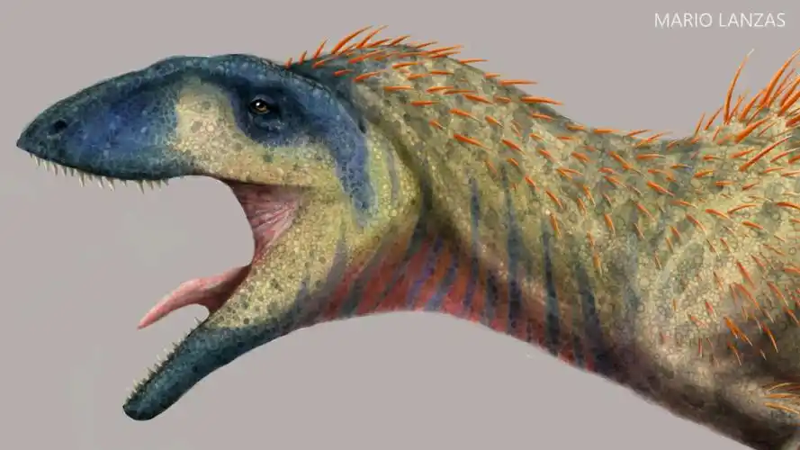 mariolanzas板绘鲨齿龙