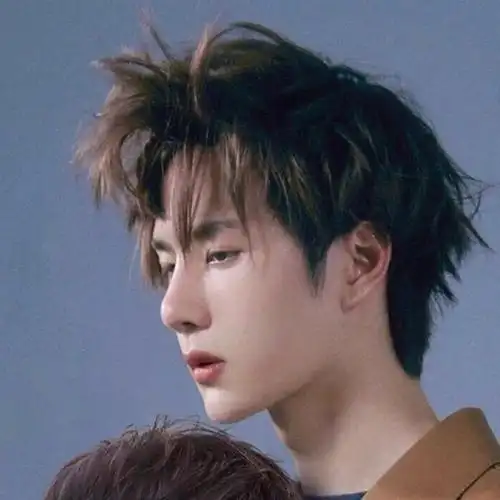 肖战王一博(头像/情头)