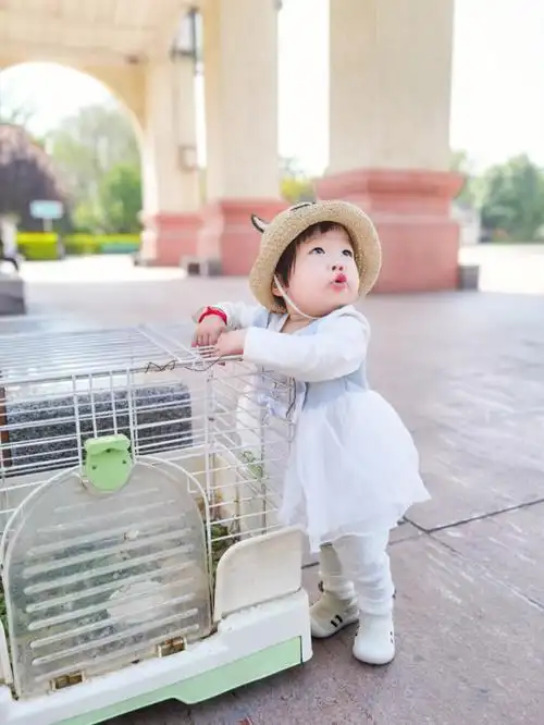 爱拍照的小孩有多可爱