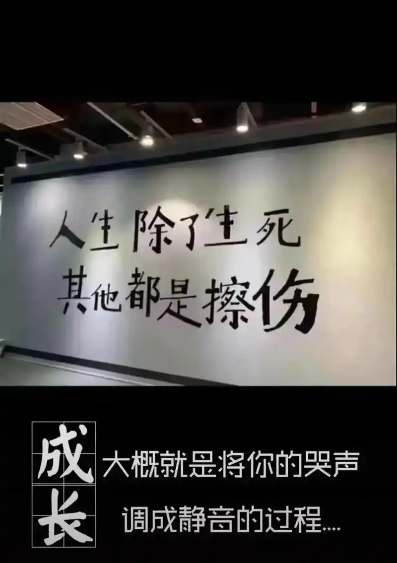 莫失  莫忘   勿念   勿想.心灰意冷那一刻       - 抖音