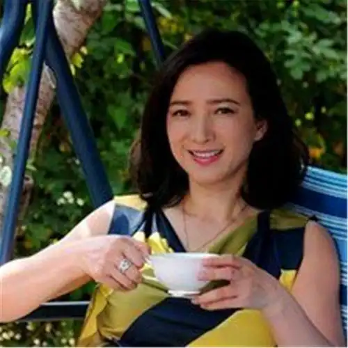 四大名著她演了个遍,出轨后被真爱抛弃,如今前夫成国民男神_何晴