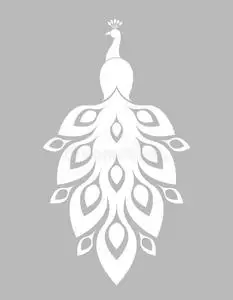 白孔雀关门图片