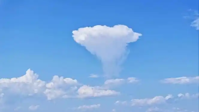 今天的北京天空湛蓝,朵朵白云仿佛棉花糖一般,就像是邂逅了一份夏日的