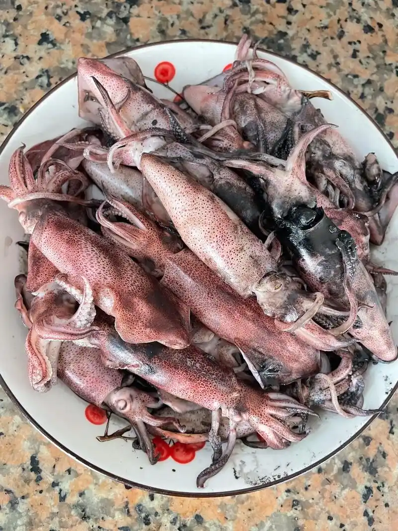 肚子墨水少,吃点新鲜鱿鱼,带墨吃的鱿鱼,吃完嘴巴没法看! - 抖音