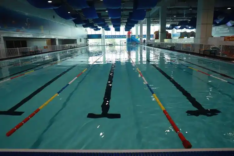 金海豚游泳俱乐部活动