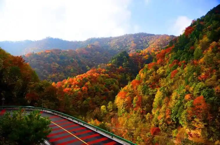 2022黄柏塬风景区门票价格开放时间游玩景点