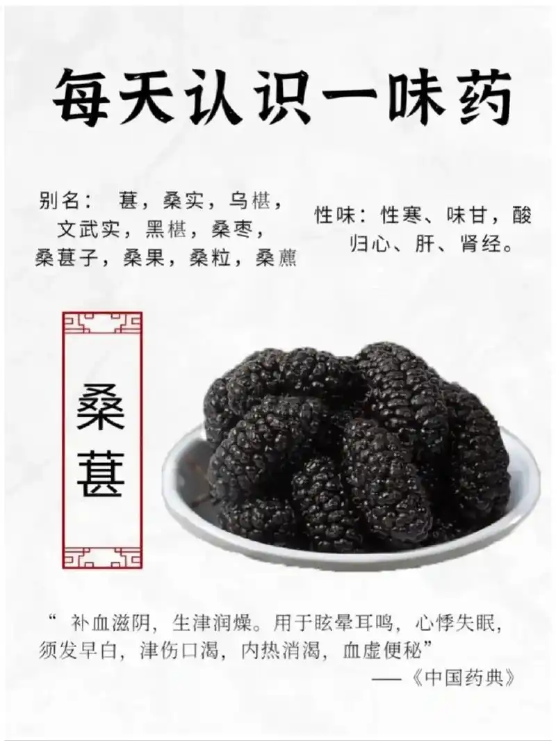 品味桑葚干的功效与作用.解锁健康密码!品味桑葚 - 抖音