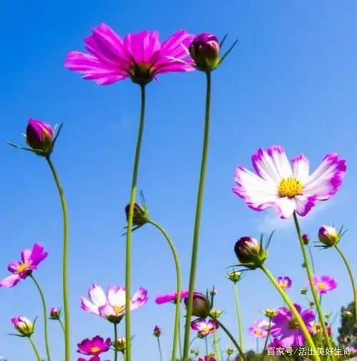 因为上帝是一切的美好 他祝福善良的人