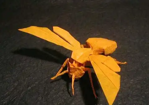 可以变形的大黄蜂折纸 手工折纸大全-普车都