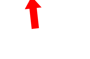 实不相瞒,我在阿荣路这家店,吃了「一头牛」!_牛派