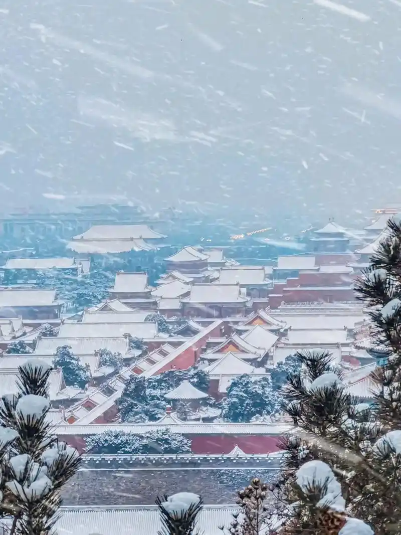 又要到故宫冬天的第一场雪了7615.