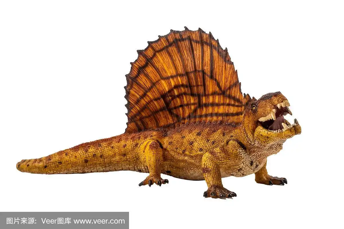 异齿龙恐龙在白色的背景.