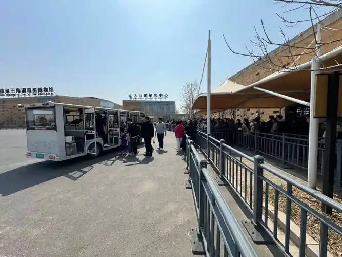 清明踏青正当时黄河口生态旅游区游客纷至沓来人气爆满