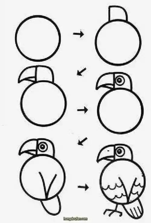 超级简单画老鹰老鹰简笔画大全