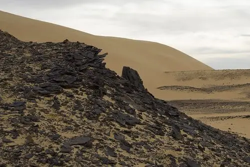 埃及的黑沙漠和白沙漠之旅