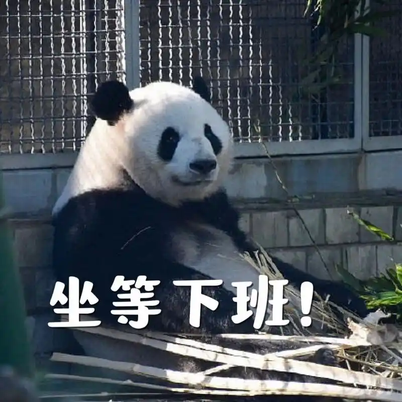 表情包|come on!我是阳光开朗大男孩萌兰!