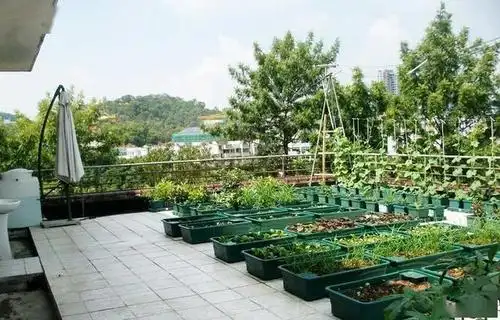 如果我家也有这样的露台,我还能再宅个10多天!