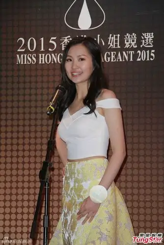 看看你喜欢哪一个新鲜出炉的2015港姐12强