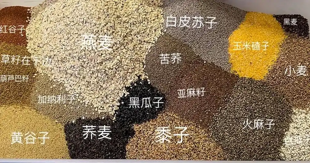 每月一次配粮 #五谷杂粮 #玄凤雏鸟 #饲养员日常 - 抖音