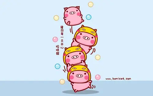 哈咪猫猪你快乐