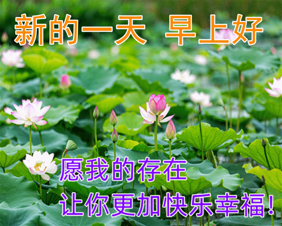 每天最新早上好祝福图片祝福问候早安图片精选