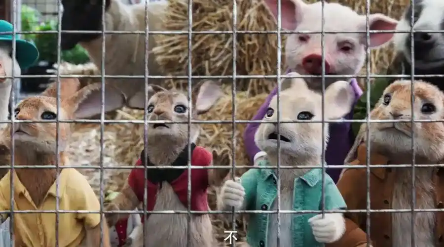 童话改编真人电影《比得兔2》发布终极预告……