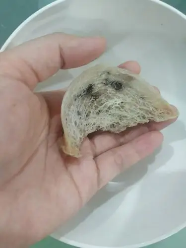 纯天然野生山洞燕窝