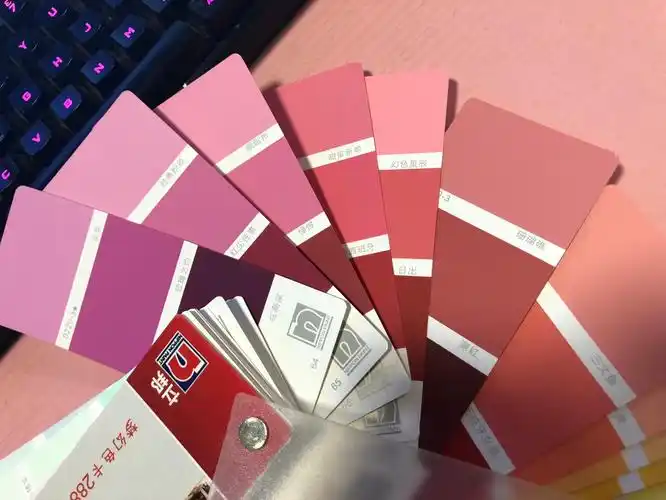 立邦今天把色卡拿过来了