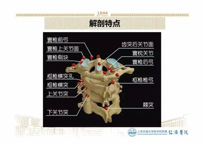 颈椎第一横突病变引起头面部疼痛 - 好大夫在线