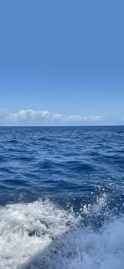 朋友圈自拍文案##朋友圈文案##日常文案##微信状态背景图##小众壁