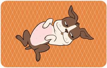 【来问】狗狗摇尾巴一定表示开心吗?