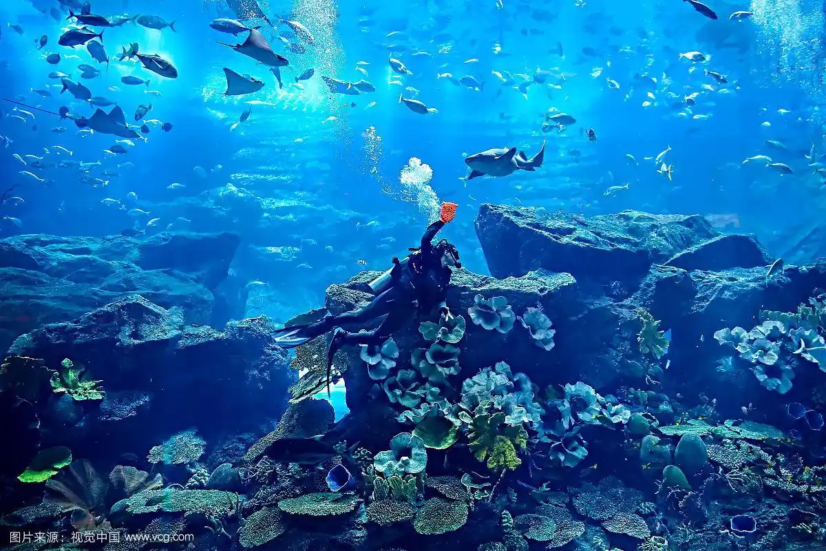 探秘海底世界