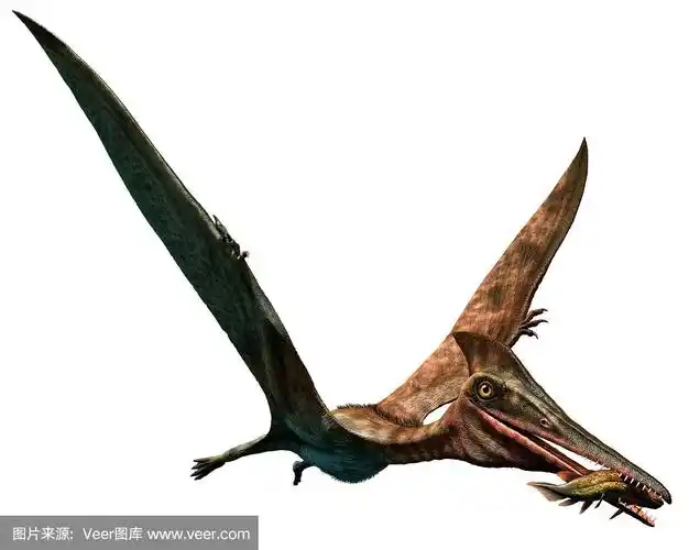 翼龙