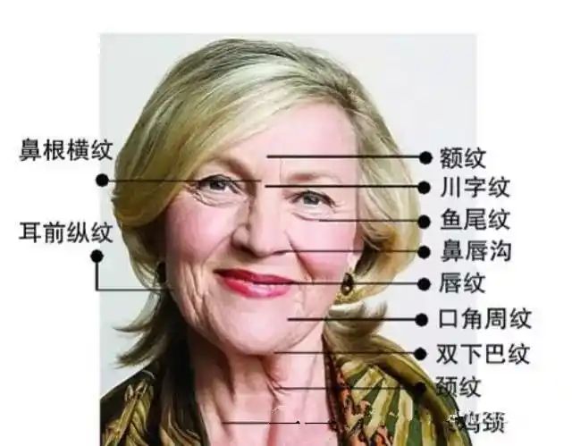 37岁的秦岚和20多岁的你pick中医驻颜术轻松抗衰老