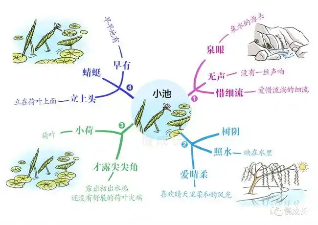 童年的夏天都在早有蜻蜓立上头的小池中附思维导图