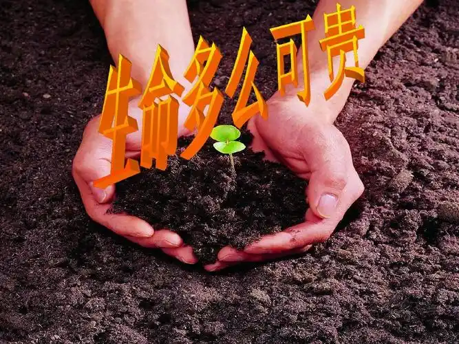 五年级下册思品课件-《生命多么可贵》3_科教版 (共9张ppt)